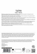 Premium Gefüllte Späte Tulpe Akebono