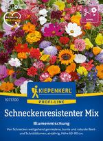 Kiepenkerl Blumensamen-Mischung Schneckenresistente Blütensymphonie