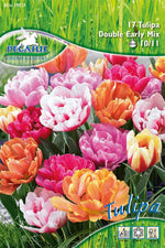 Pegasus Aktion Gefüllte Tulpen Double Mix