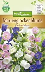 N.L. Chrestensen Campanula, med. Marienglockenblume, Prachtmischung