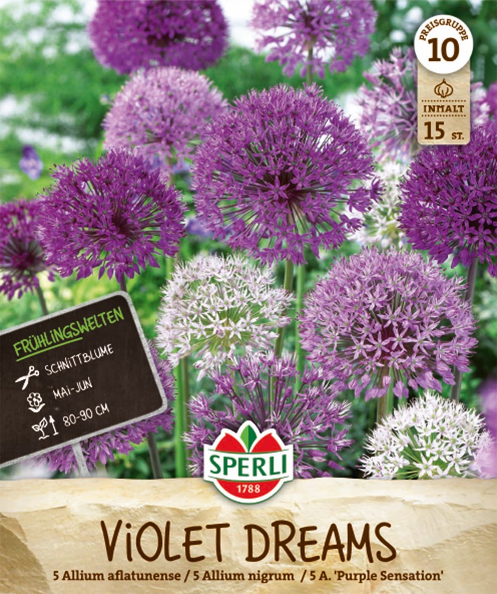 Frühlingsgarten Violet Dreams
