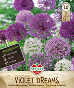 Frühlingsgarten Violet Dreams