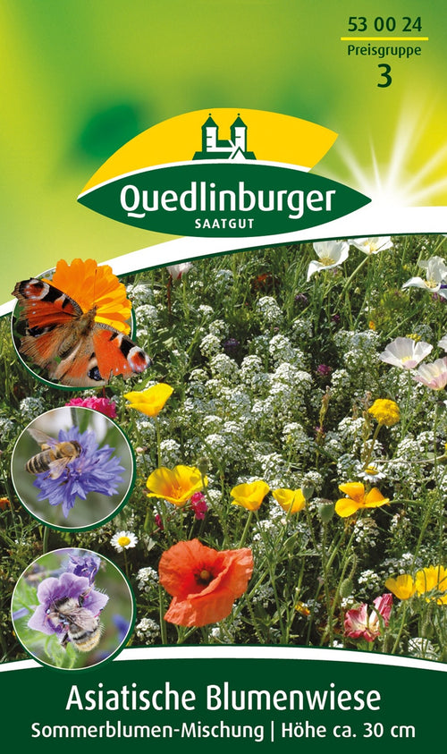 Quedlinburger Blumenwiese Asiatische Mischung