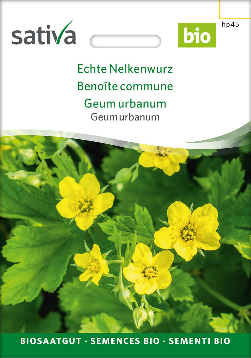 Sativa Echte Nelkenwurz