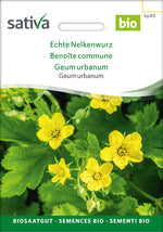 Sativa Echte Nelkenwurz