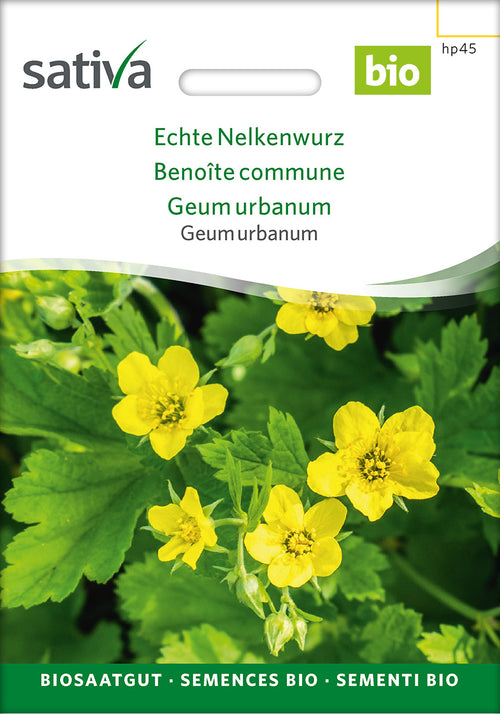 Sativa Echte Nelkenwurz