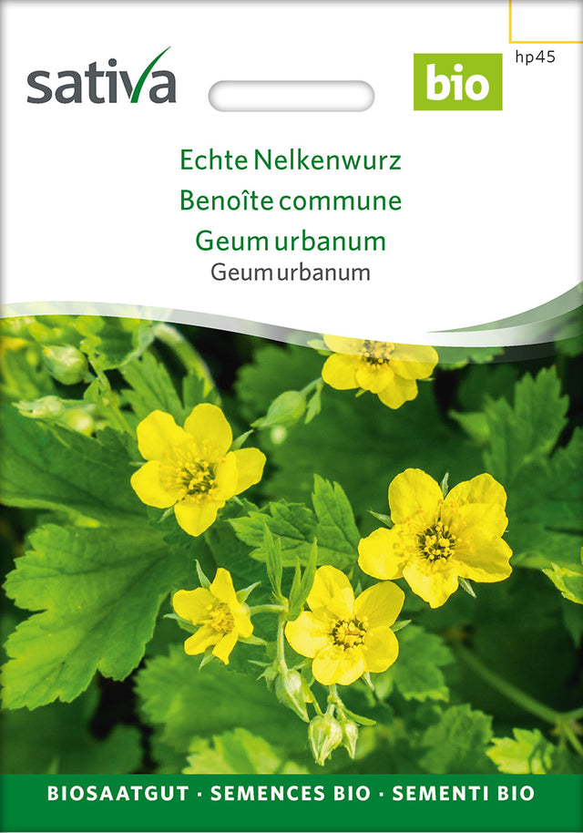 Sativa Echte Nelkenwurz