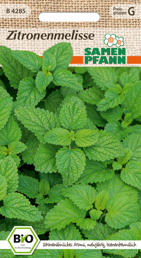Samen Pfann BIO Zitronenmelisse Mehrjährig