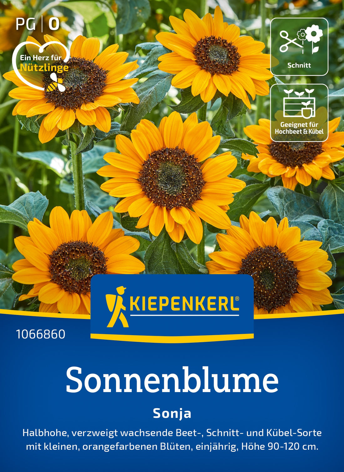 Kiepenkerl Sonnenblumen Sonja