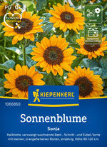 Kiepenkerl Sonnenblumen Sonja