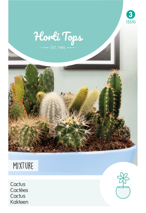 Horti Tops Kakteen Vieler Klassen Mischung