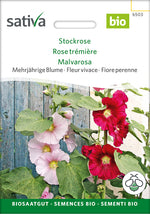 Sativa Stockrose