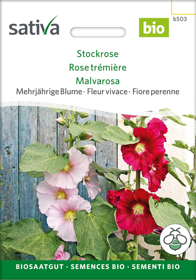 Sativa Stockrose