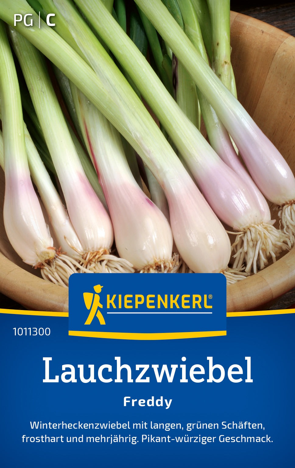Kiepenkerl Zwiebel Freddy