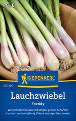 Kiepenkerl Zwiebel Freddy