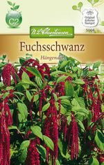 N.L. Chrestensen Amaranthus Fuchsschwanz, hängend, rot