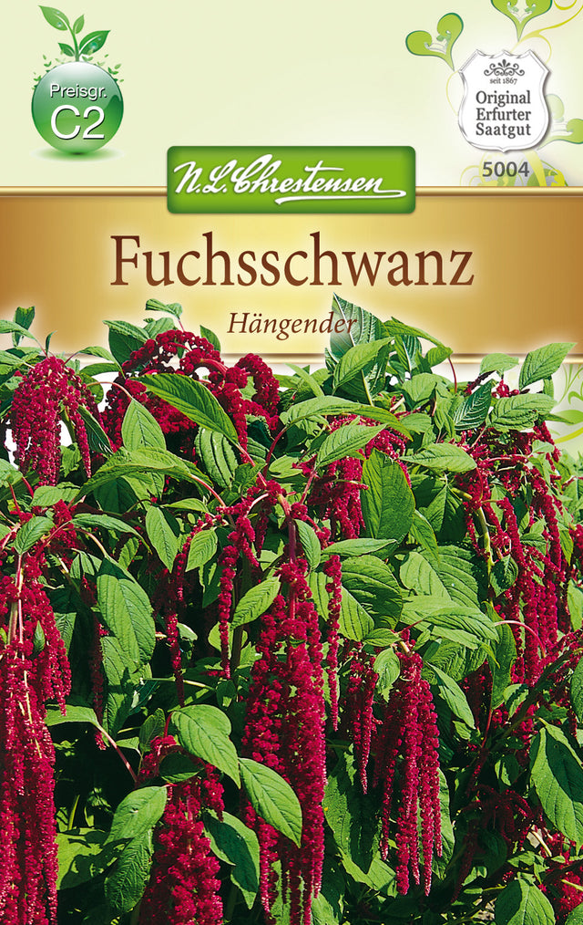 N.L. Chrestensen Amaranthus Fuchsschwanz, hängend, rot