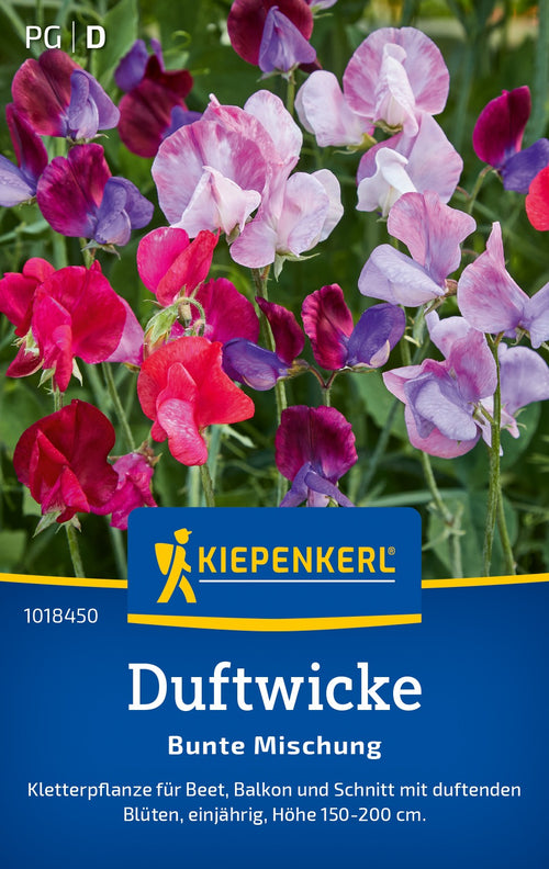 Kiepenkerl Wicken Bunte Mischung