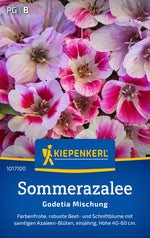 Kiepenkerl Sommerazalee Godetia Mischung