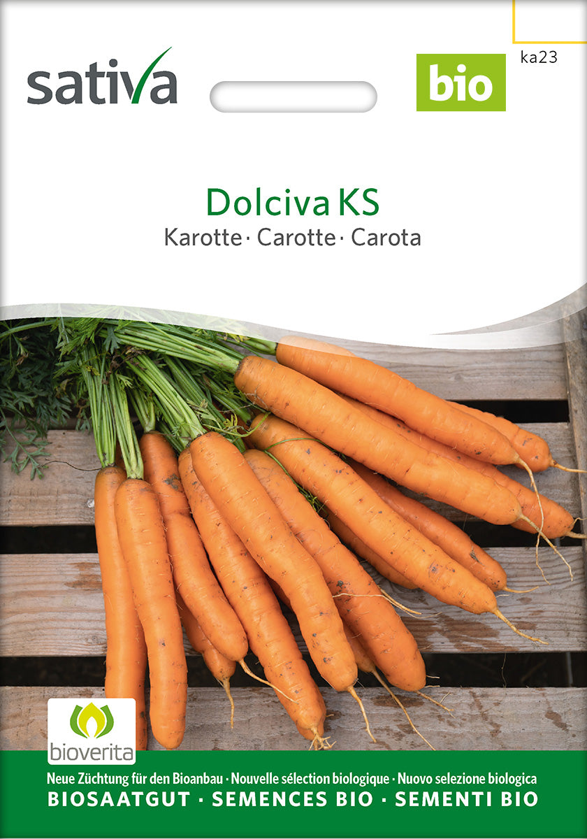 Sativa Karotte Dolciva KS