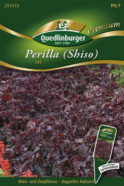 Quedlinburger Perilla Shiso rot