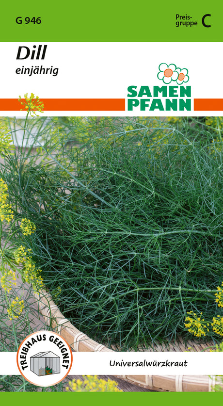 Samen Pfann Dill Einjährig