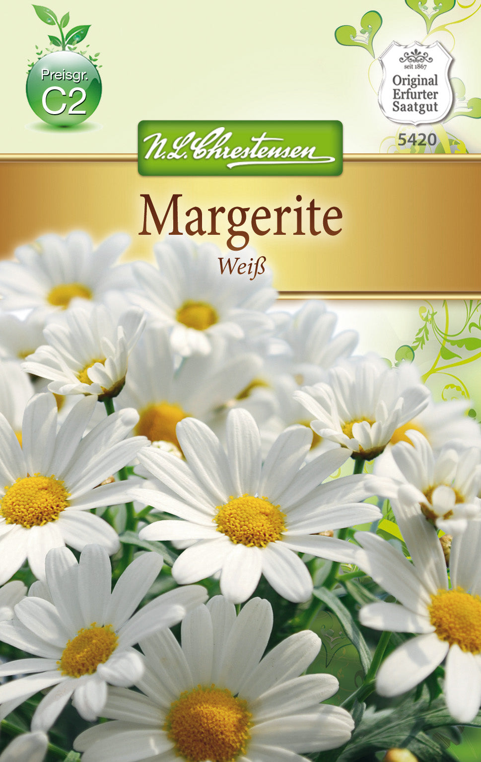 N.L. Chrestensen Chrysanthemum Margerite, weiß