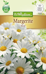 N.L. Chrestensen Chrysanthemum Margerite, weiß