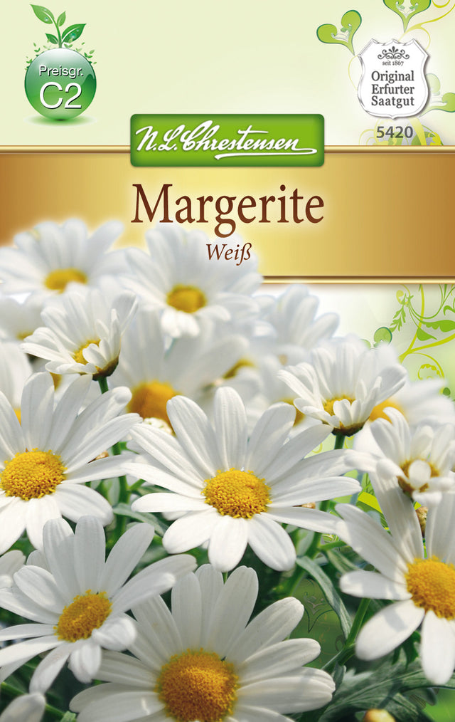 N.L. Chrestensen Chrysanthemum Margerite, weiß