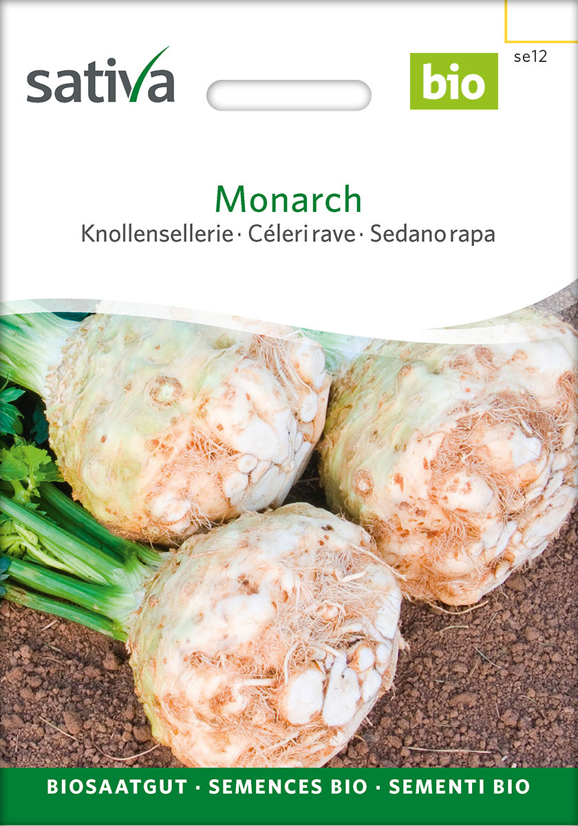 Sativa Knollensellerie Monarch