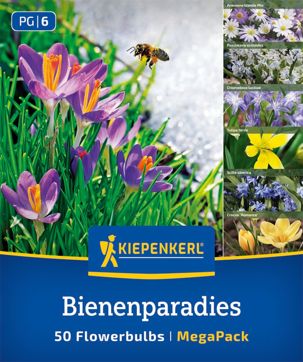 Mega Pack Bienenparadies