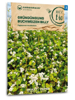 Samen Maier BIO Buchweizen Billy