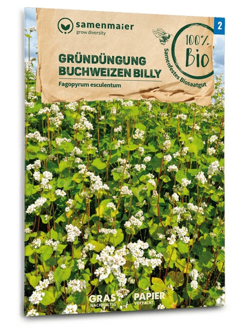 Samen Maier BIO Buchweizen Billy