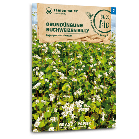 Samen Maier BIO Buchweizen Billy