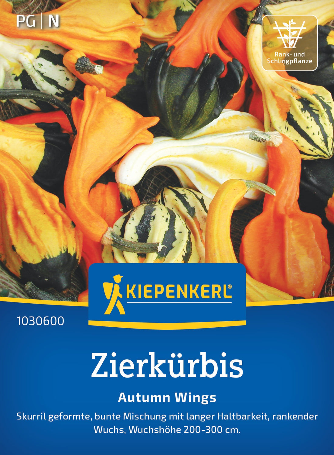 Kiepenkerl Kürbis Autumn Wings