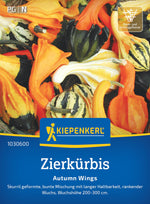 Kiepenkerl Kürbis Autumn Wings