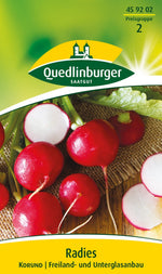 Quedlinburger Radieschen Korund