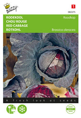 Buzzy Seeds Rotkohl Schwantzkopf
