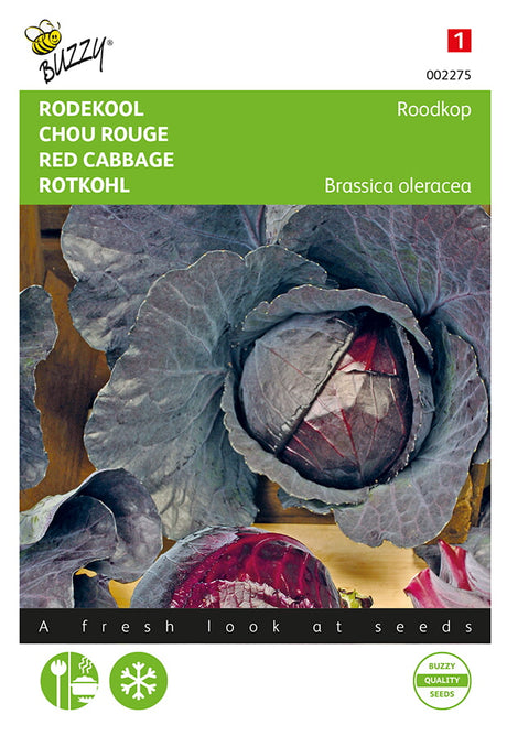 Buzzy Seeds Rotkohl Schwantzkopf