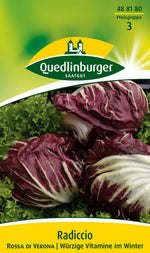 Quedlinburger Radiccio Rossa di Verona