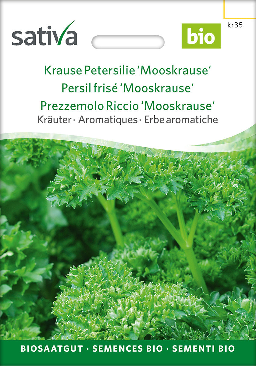 Sativa Krause Petersilie Mooskrause