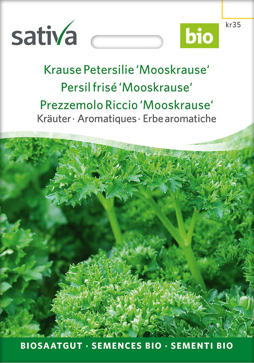 Sativa Krause Petersilie Mooskrause