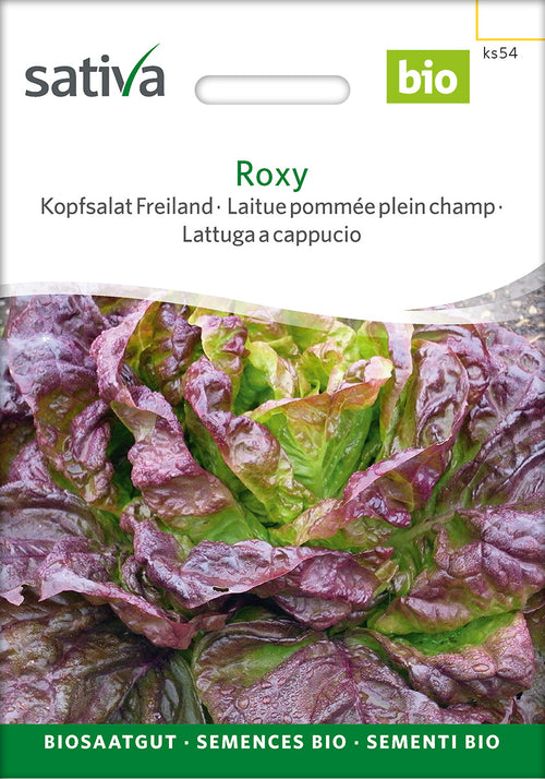 Sativa BIO Kopfsalat Freiland Roxy