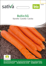 Sativa Karotte Bollin SG