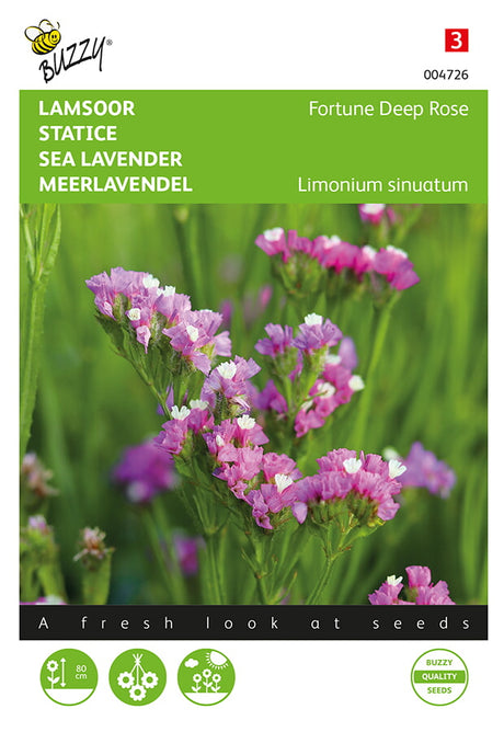 Buzzy Seeds Strandflieder Meerlavendel Fortune Deep Rose