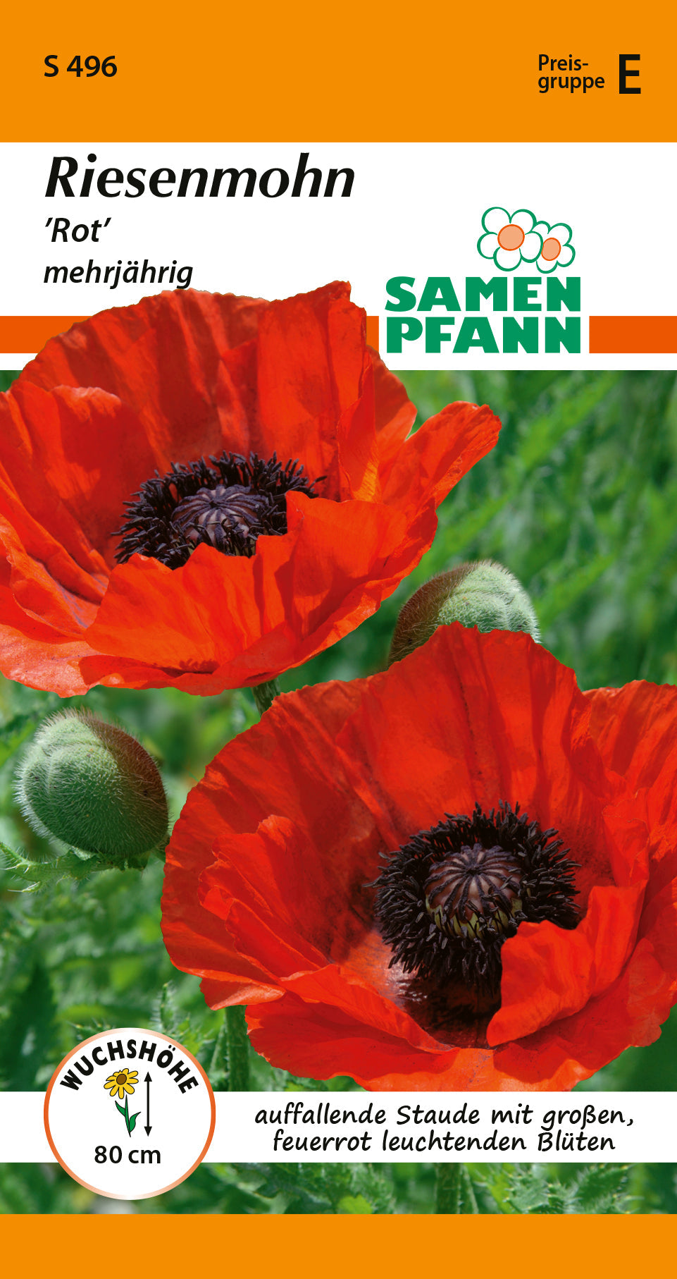 Samen Pfann Rot Riesenmohn