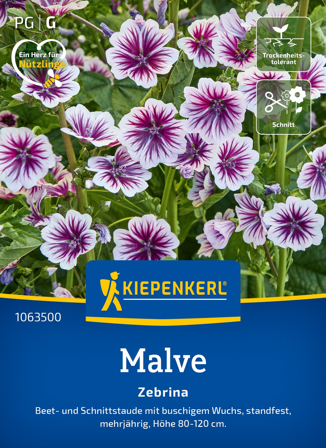 Kiepenkerl Malven Zebrina