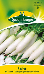 Quedlinburger Radieschen Radies Eiszapfen