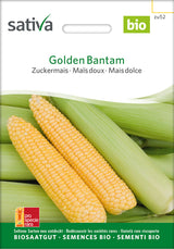Sativa Zuckermais Golden Bantam