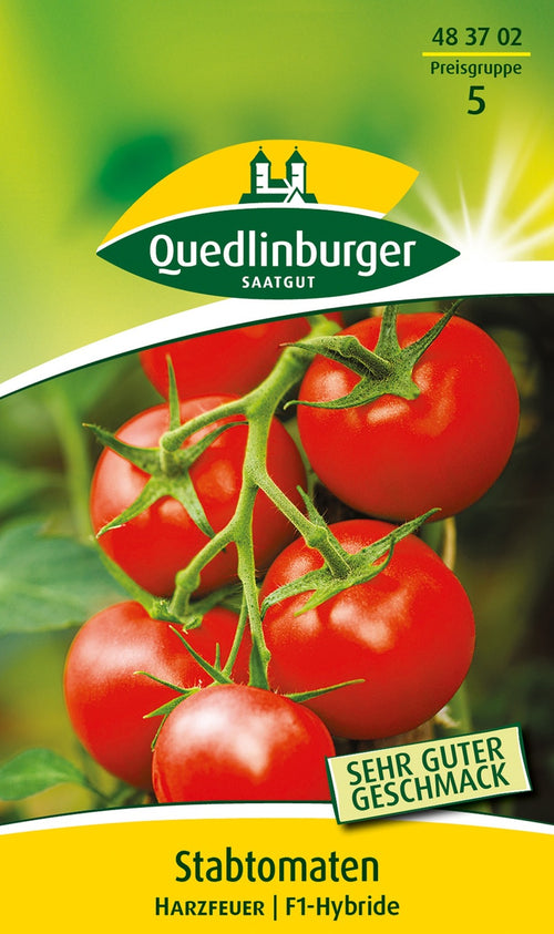 Quedlinburger Stabtomate Harzfeuer